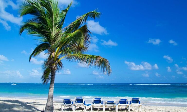 Navigating the World With Best Travel Apps