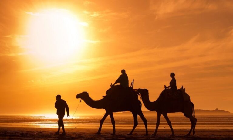 Travel Smart: Your Safety Above All